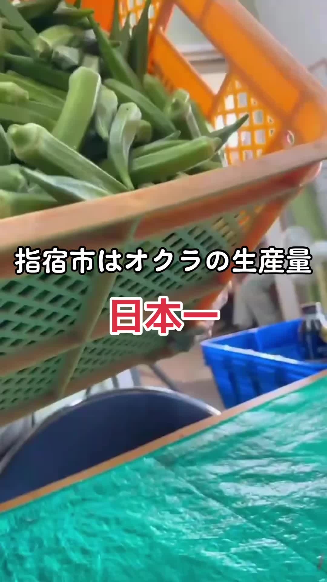 @就労継続支援B型 ほーぷ