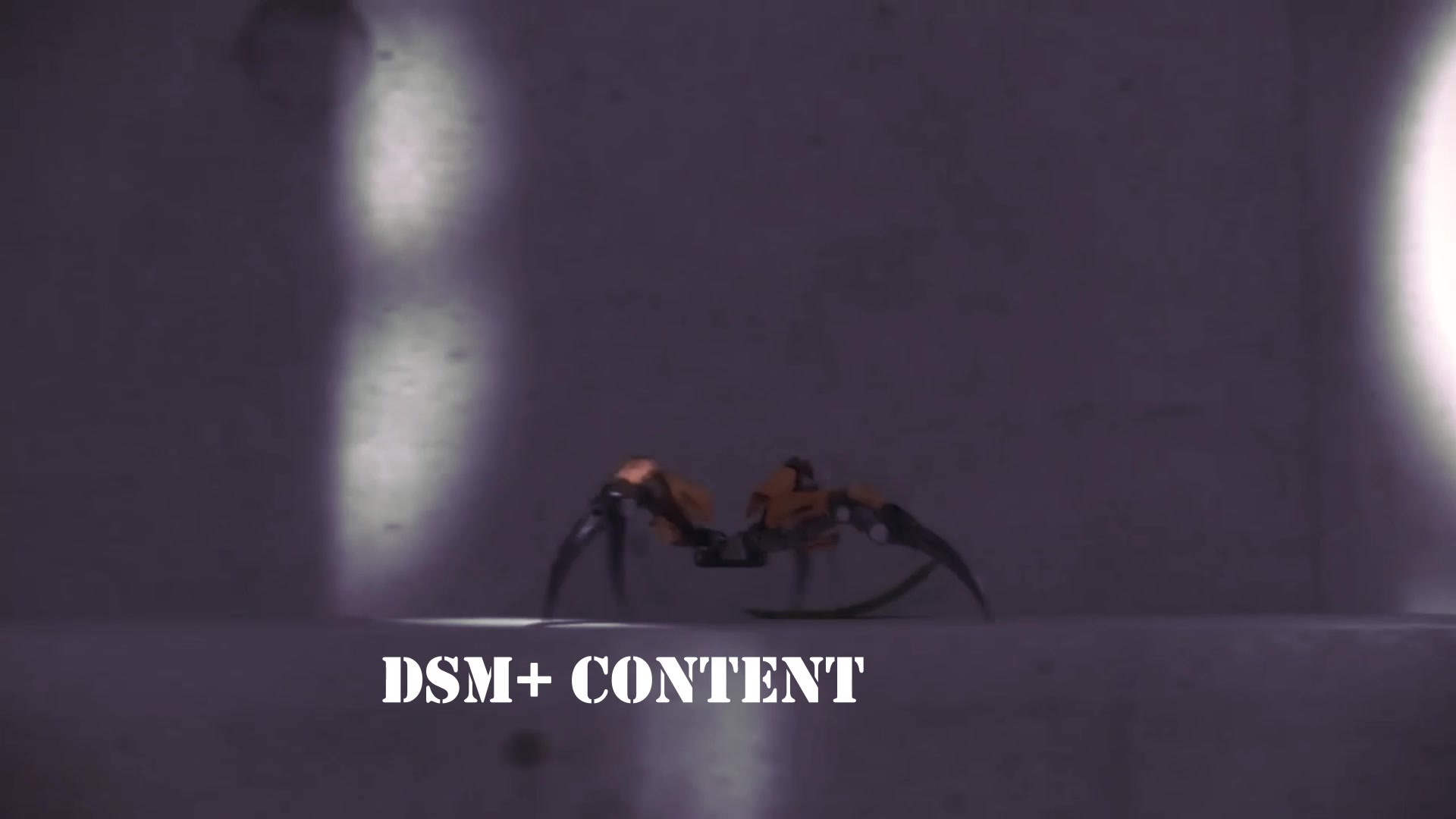 @dsmcontent1