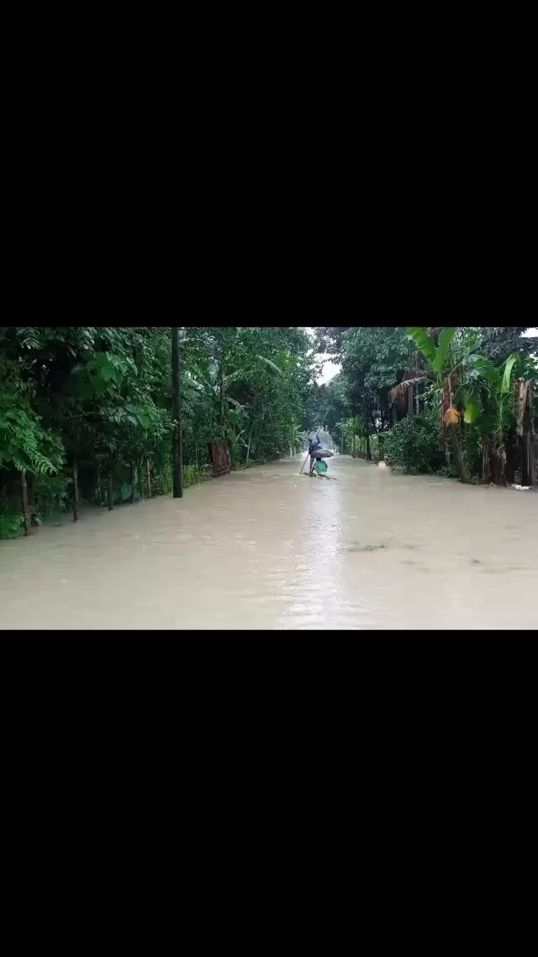 @MNN - Weather