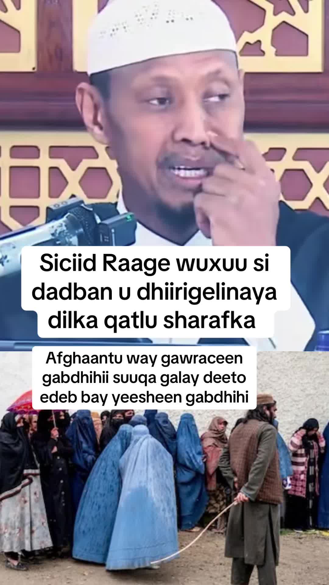 @Aaliyah Warsame 🇦🇺🦜