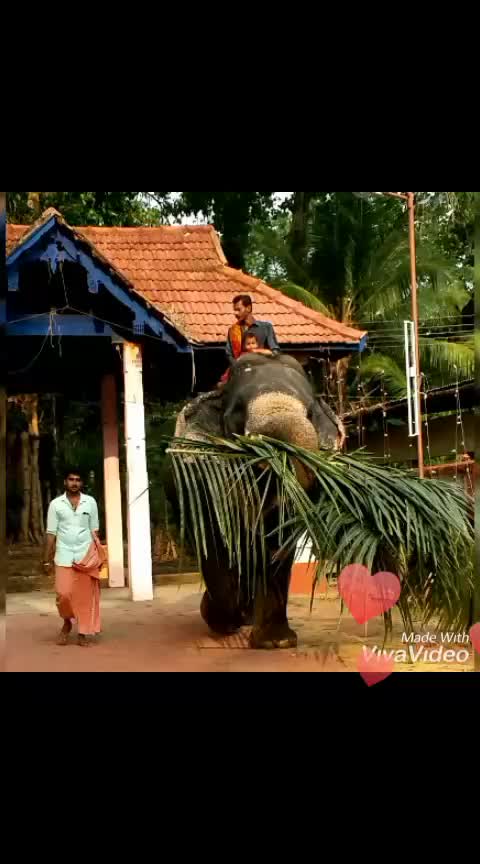 @Anandhu Vinod