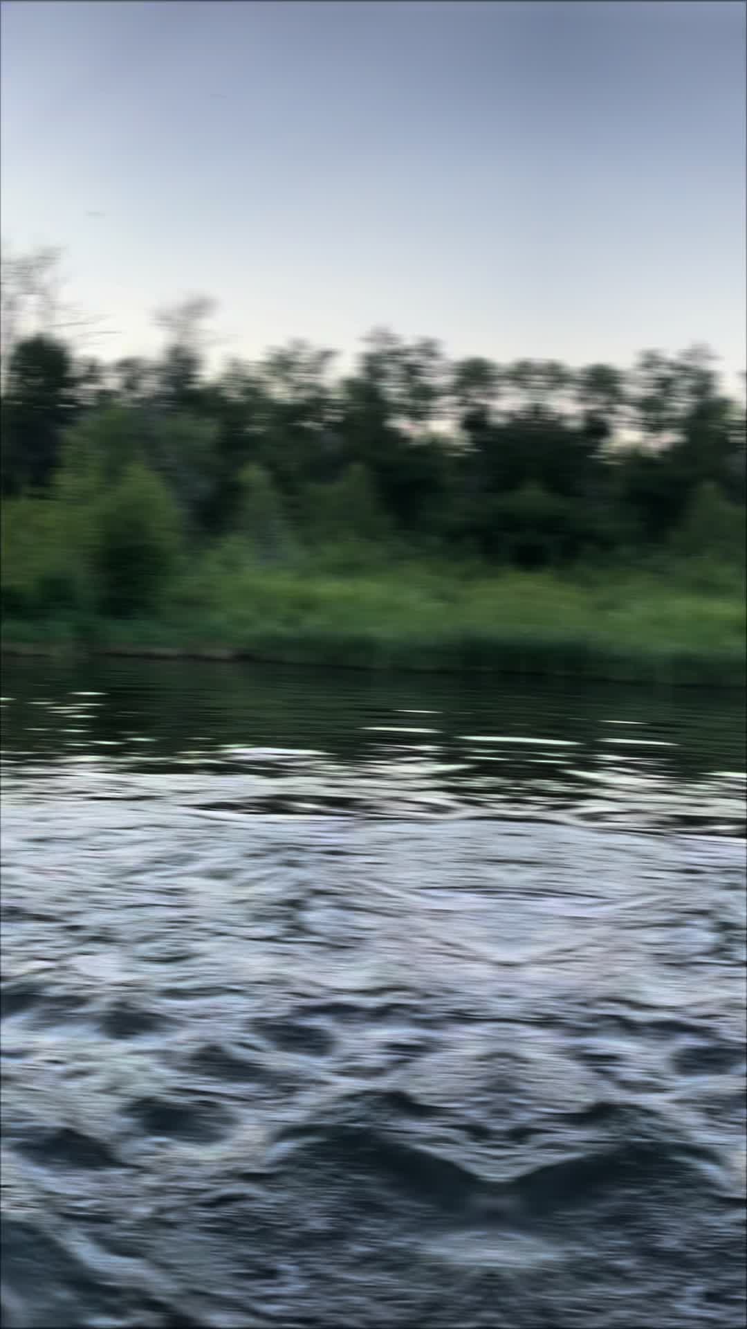 @The Fishly
