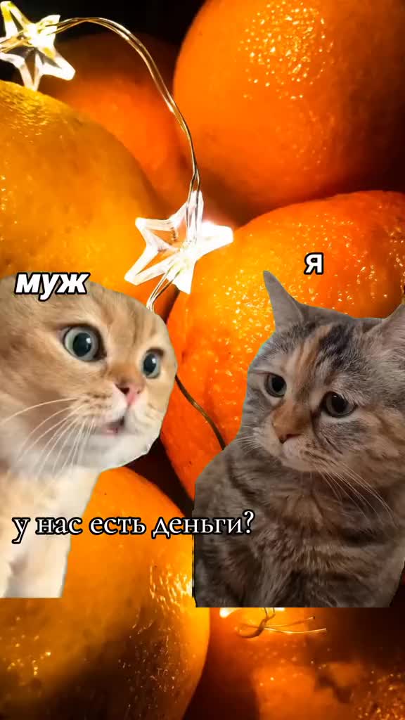 @Шахи