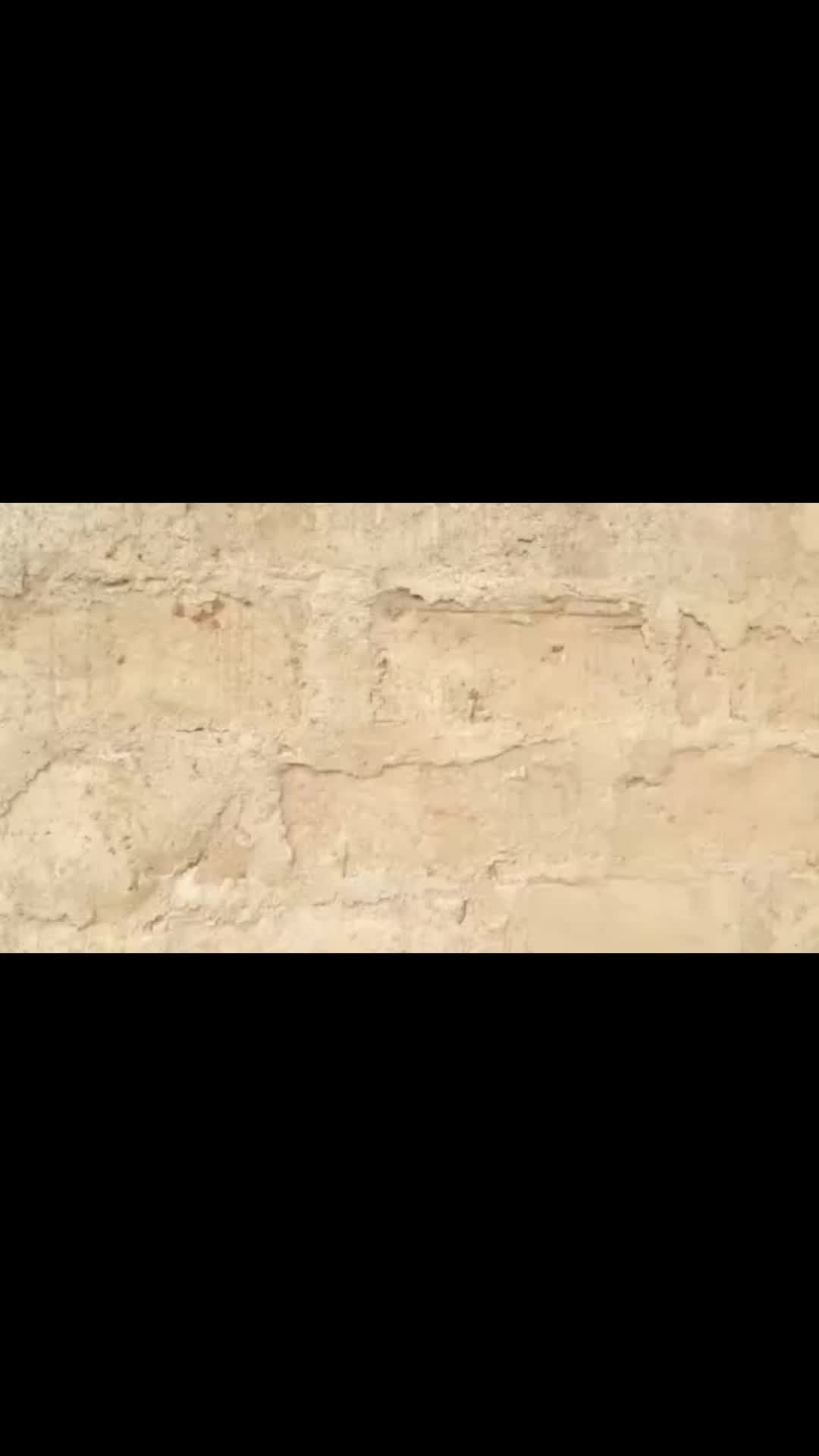 @Basirimi