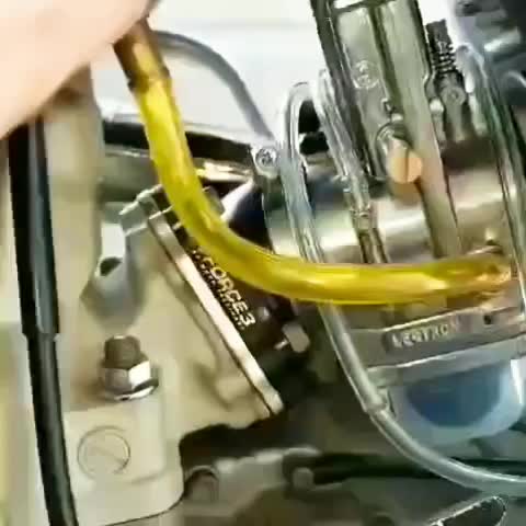 @silentoptimist