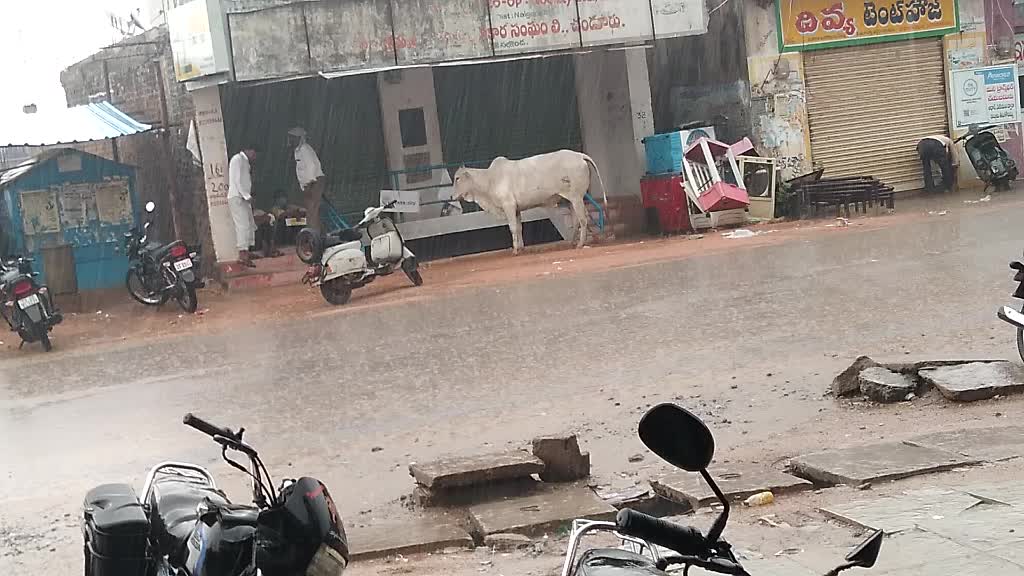 @Raju pailwan