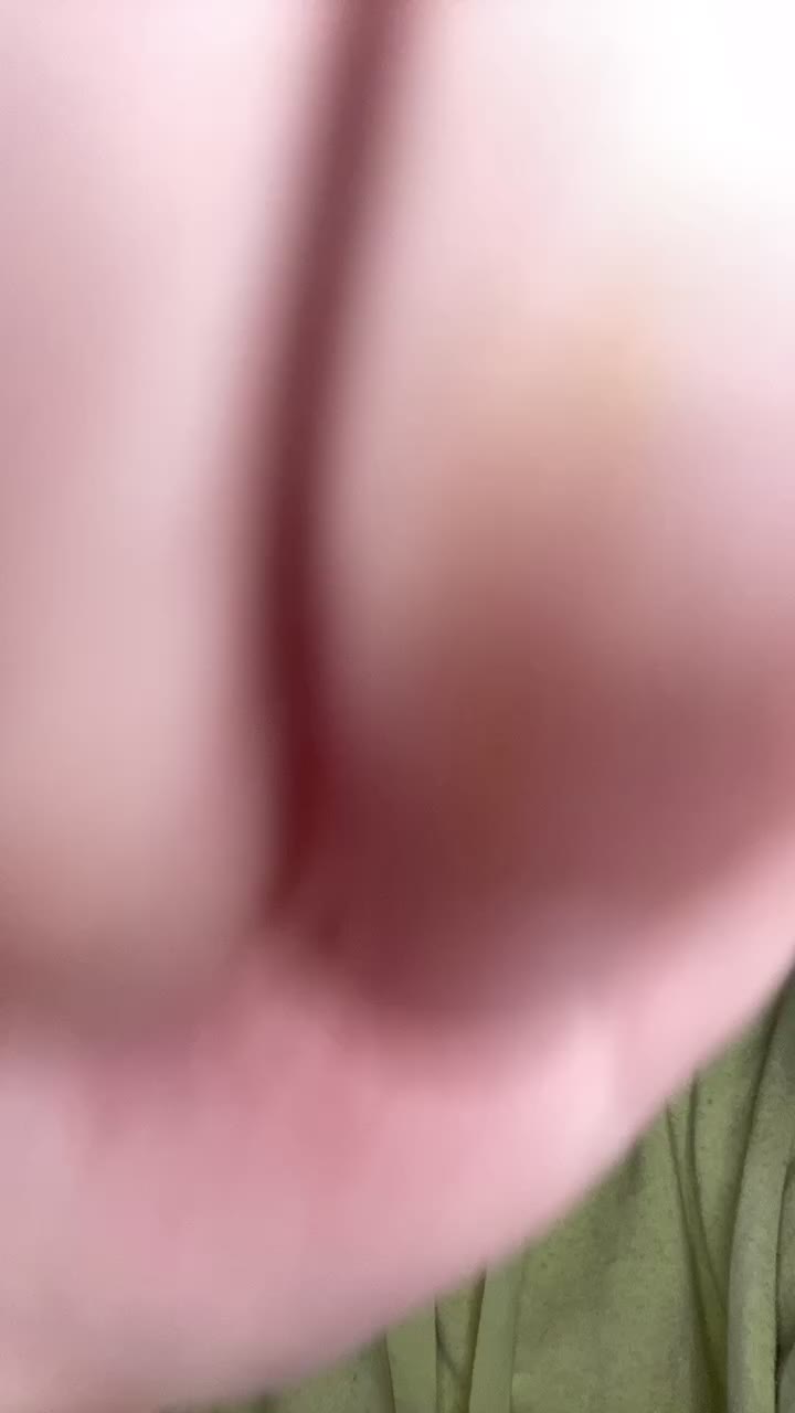 @doggypally