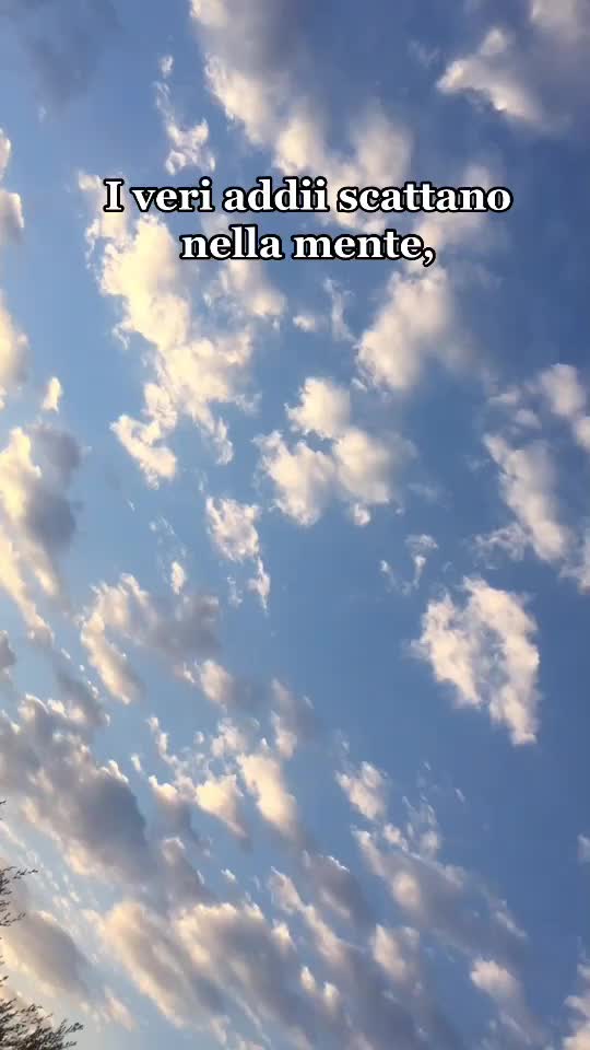 @bibizz