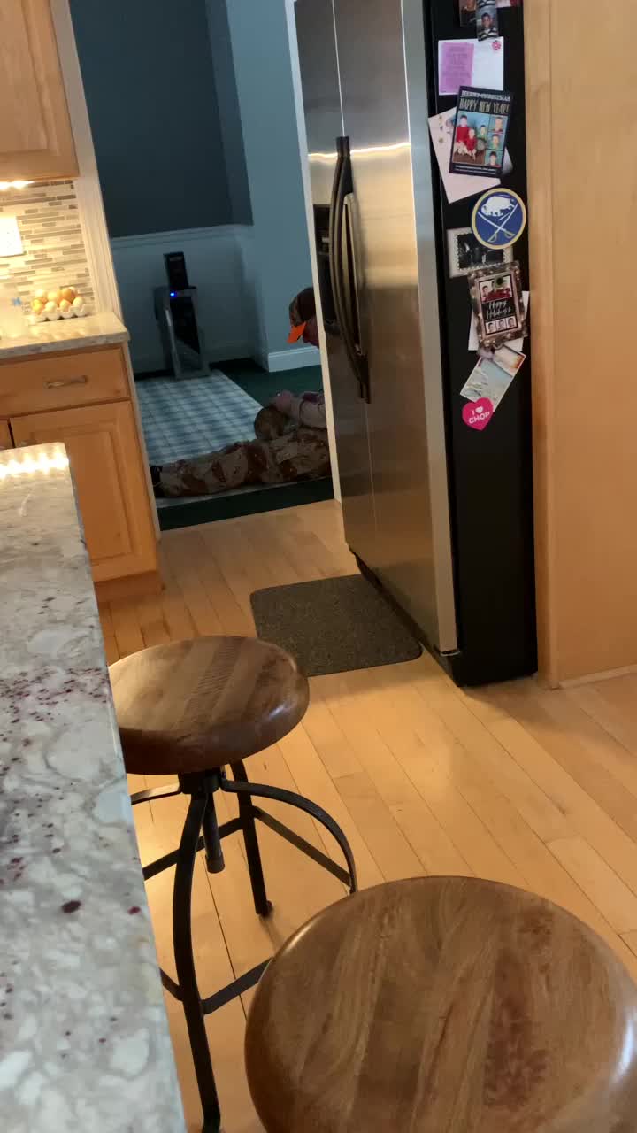 @user6662737096417