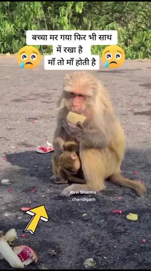 @jakhar1138