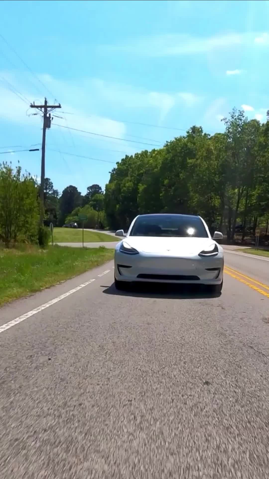 @Tesla Facts