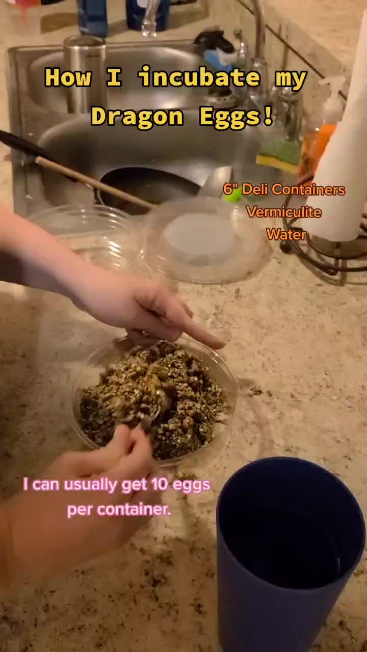 @Rhaynebow