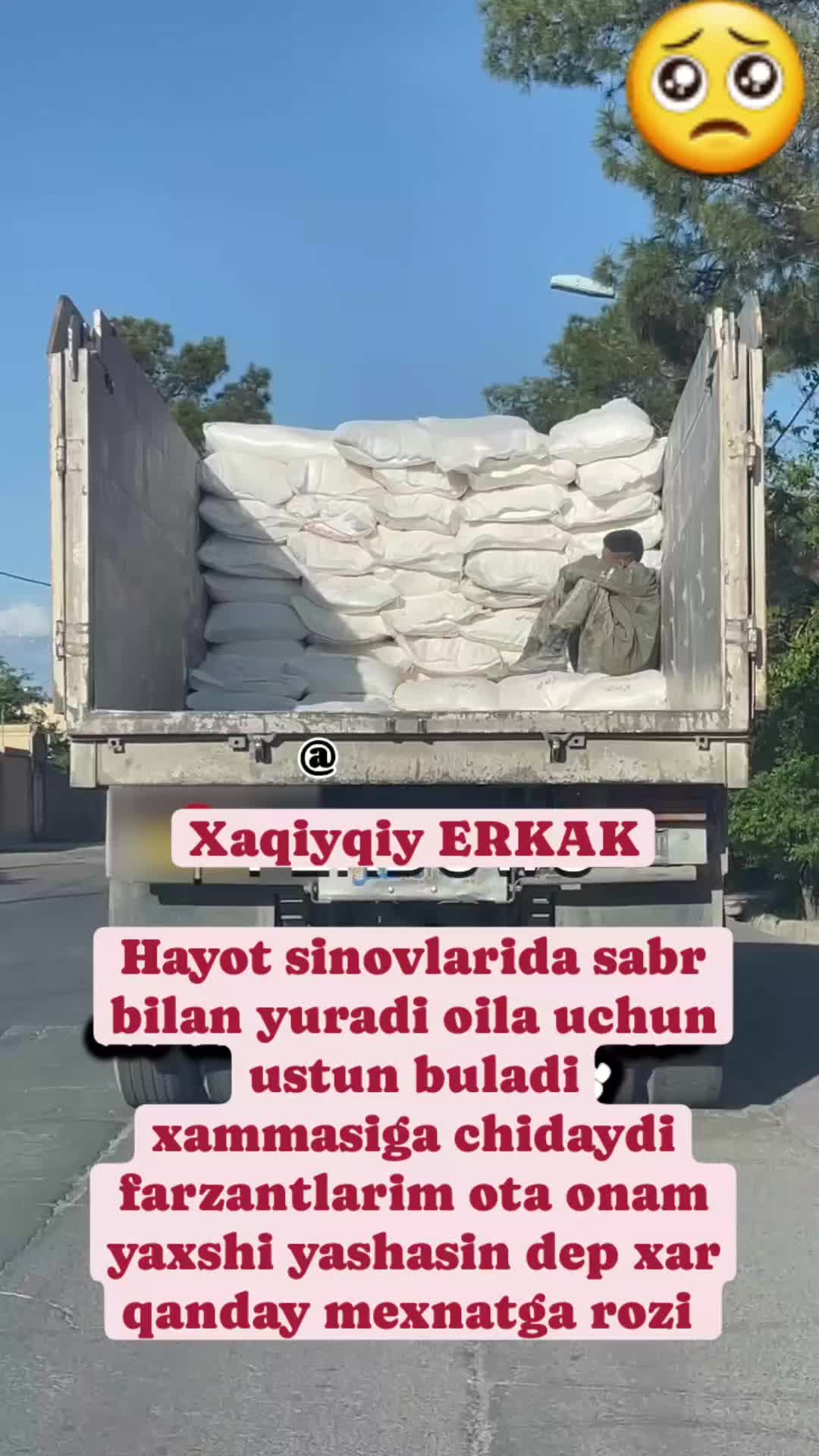 @jam1k_17