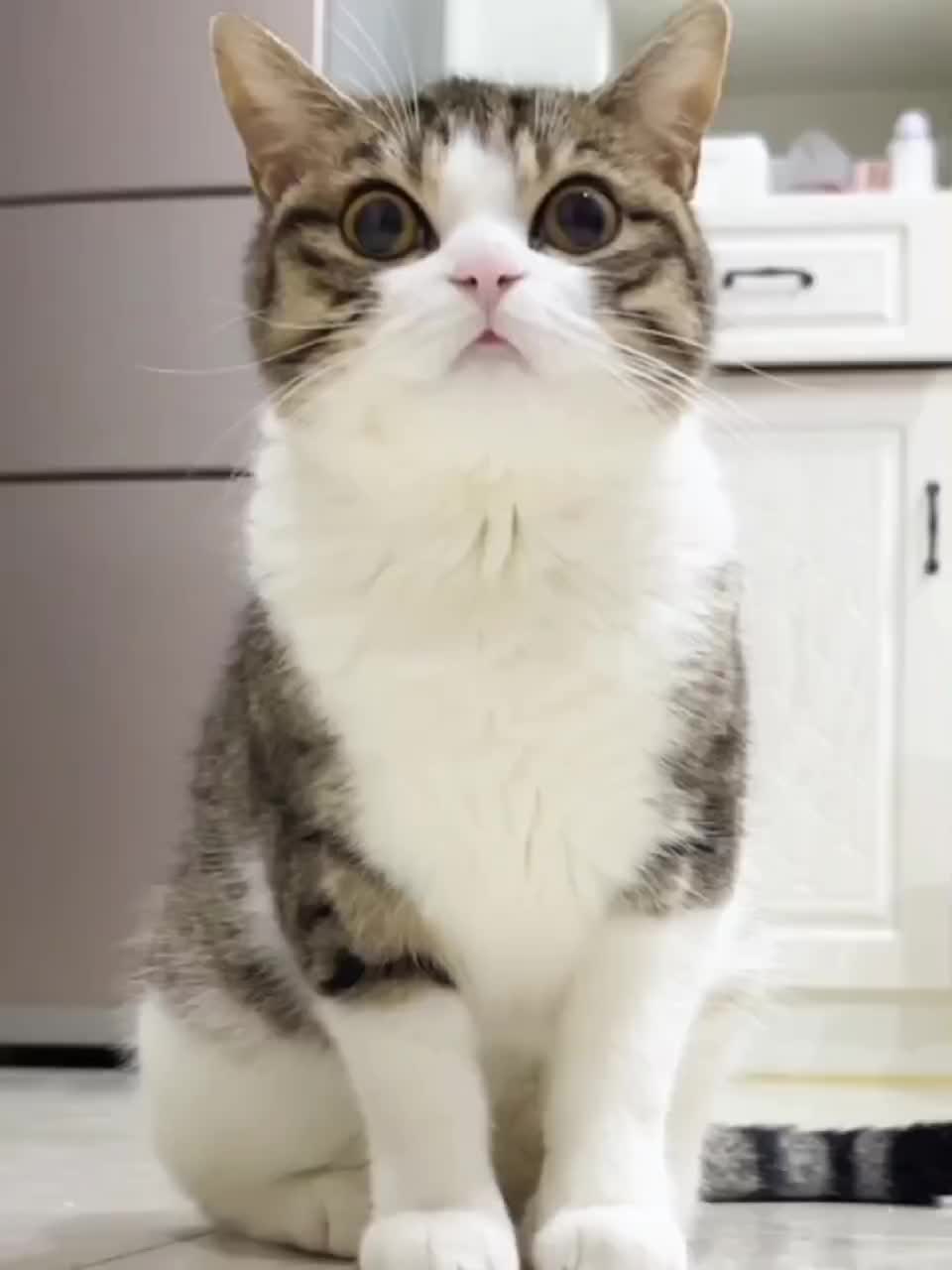 @Lin