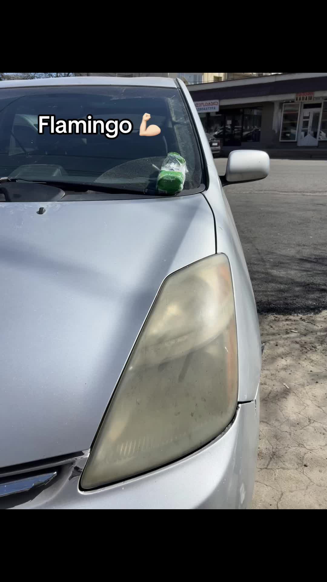 @Flamingo marneuli