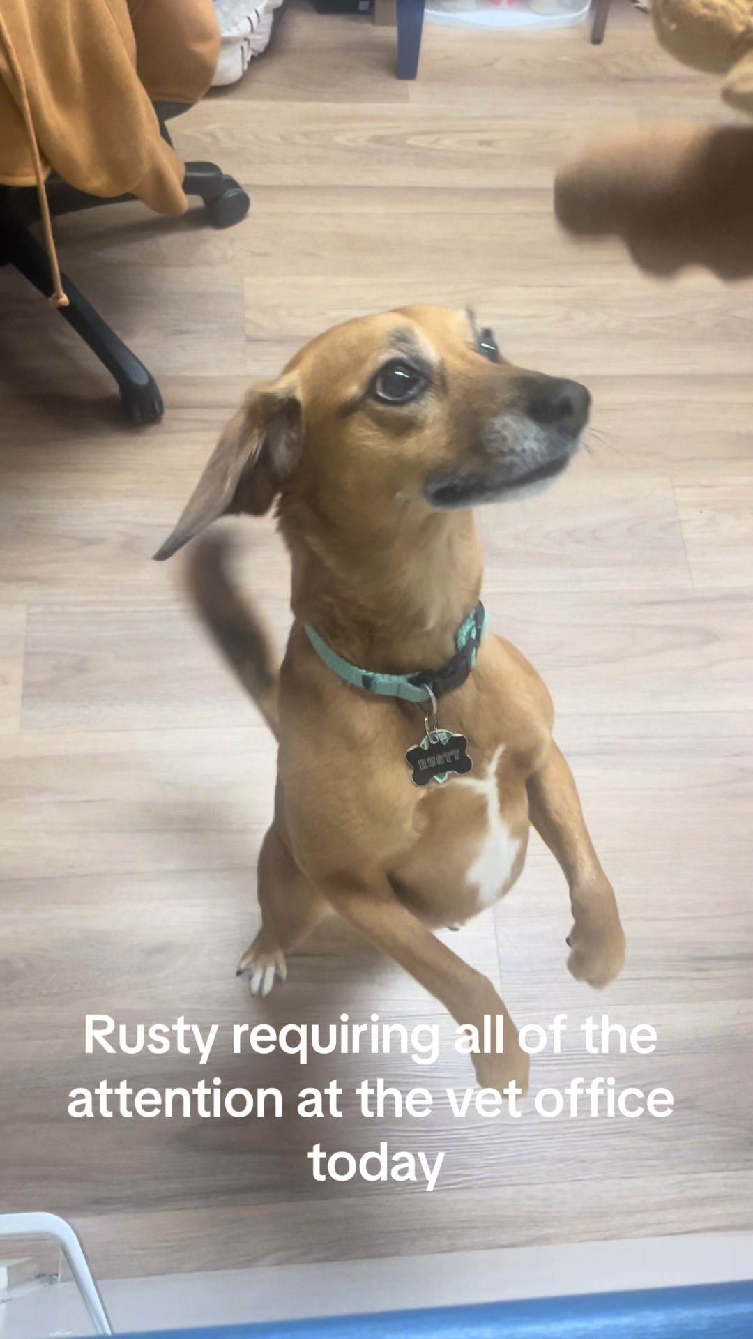 @Rusty