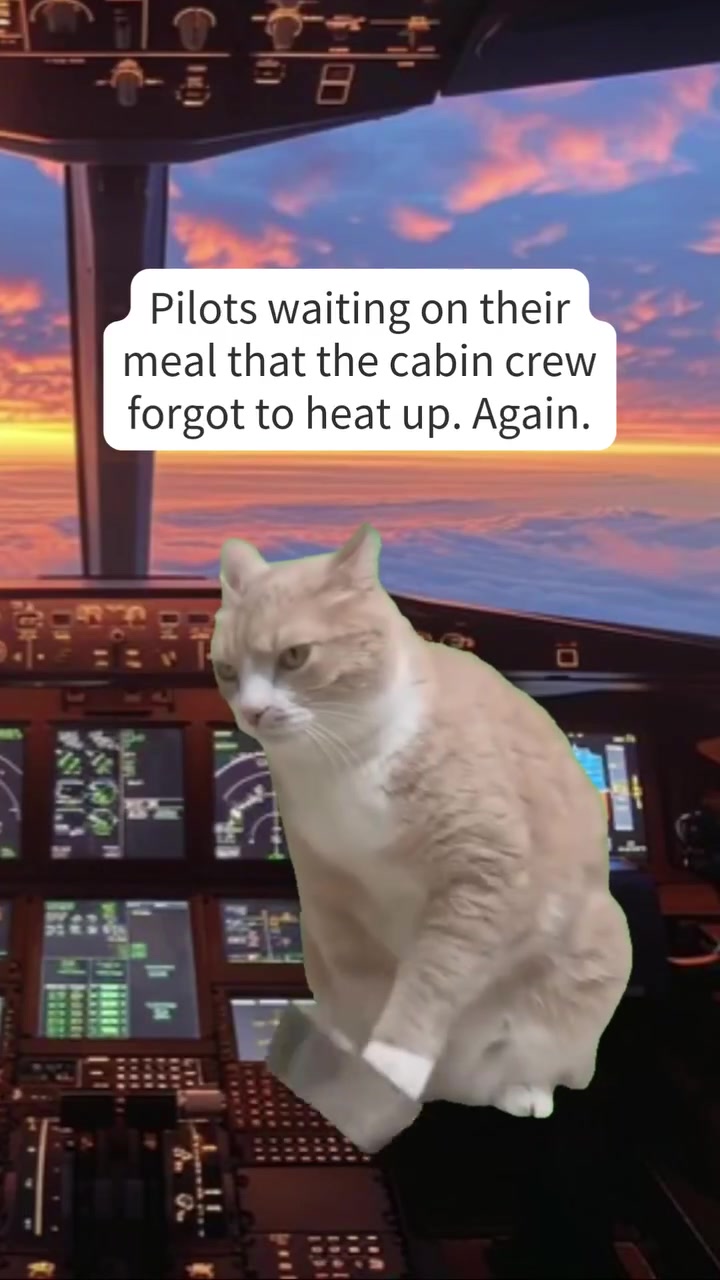 @caanpilot