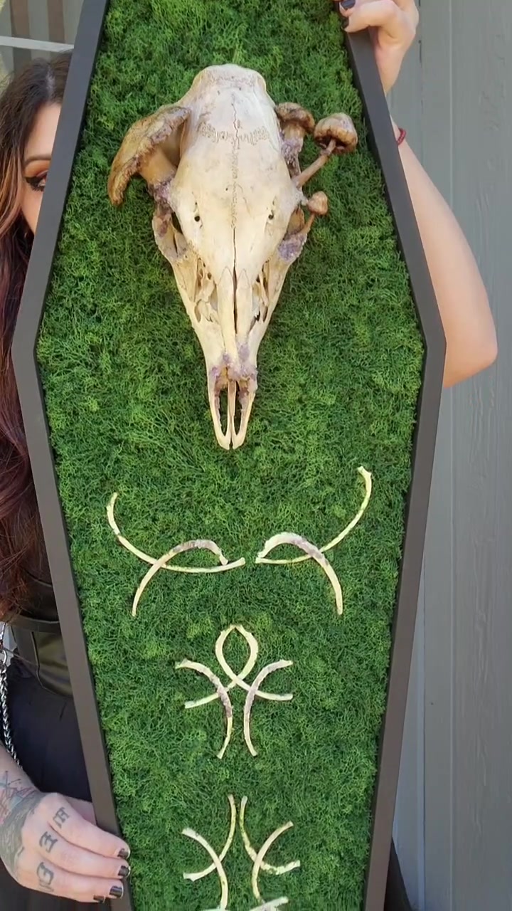 @TheCrimsonCult