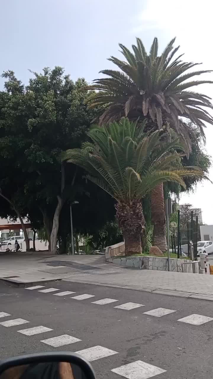 @A. Malik