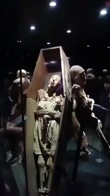 @Futura