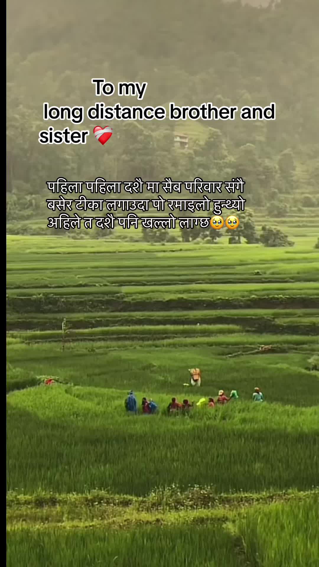 @Namrata