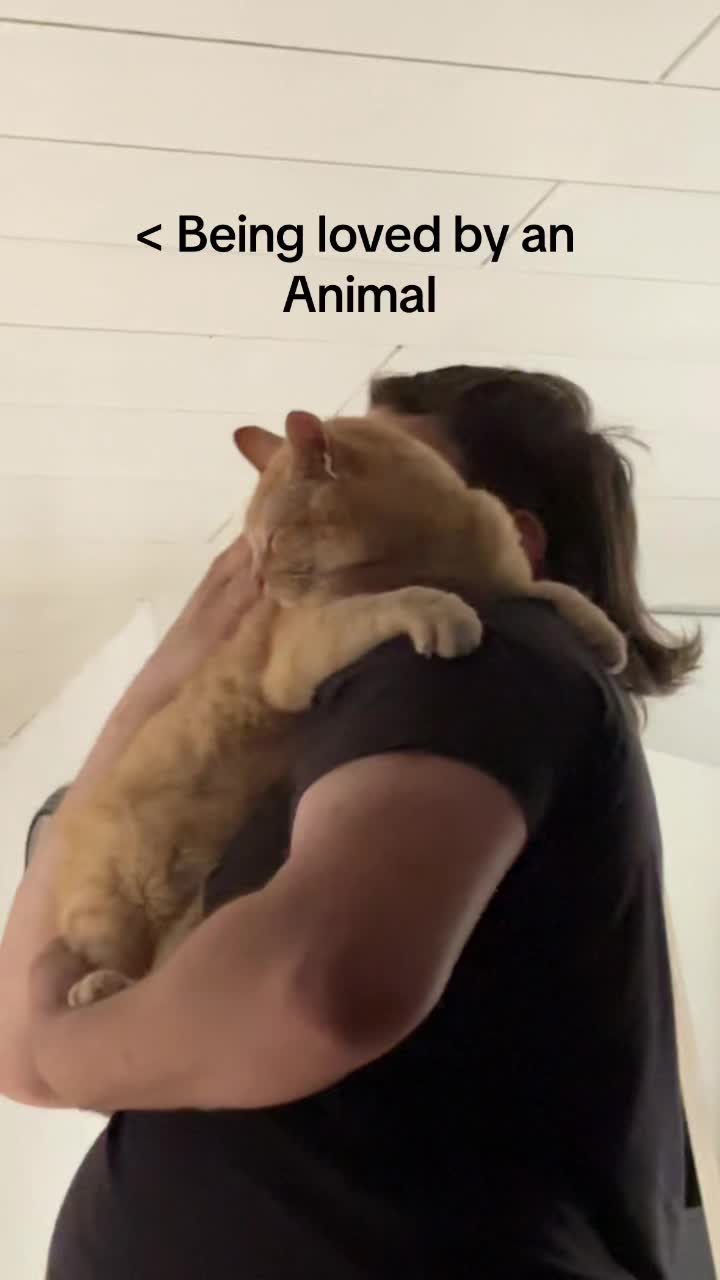 @ʀᴏɴᴊᴀ
