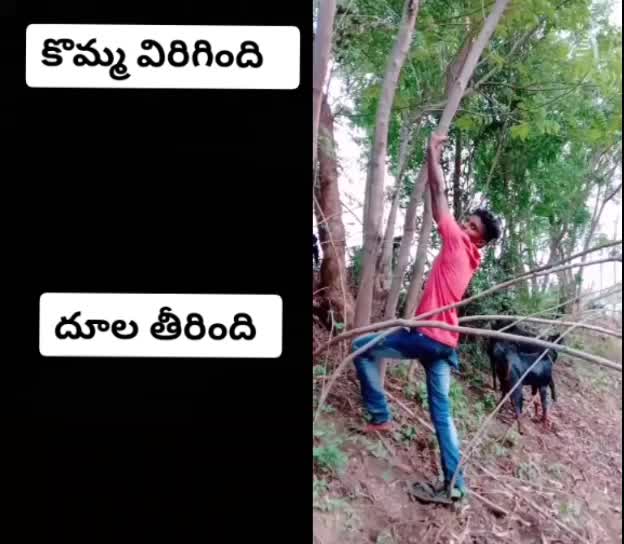@pavan kalyan fan