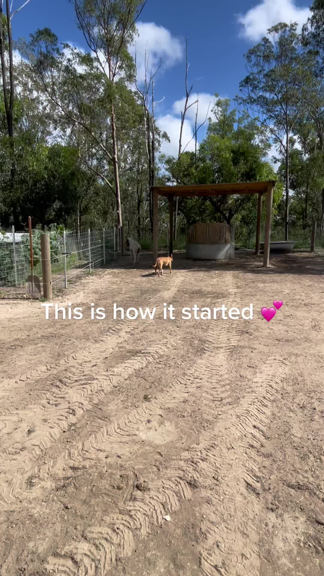 @🇦🇺🇦🇺🇦🇺🇦🇺🇦🇺✝️✝️✝️✝️✝️