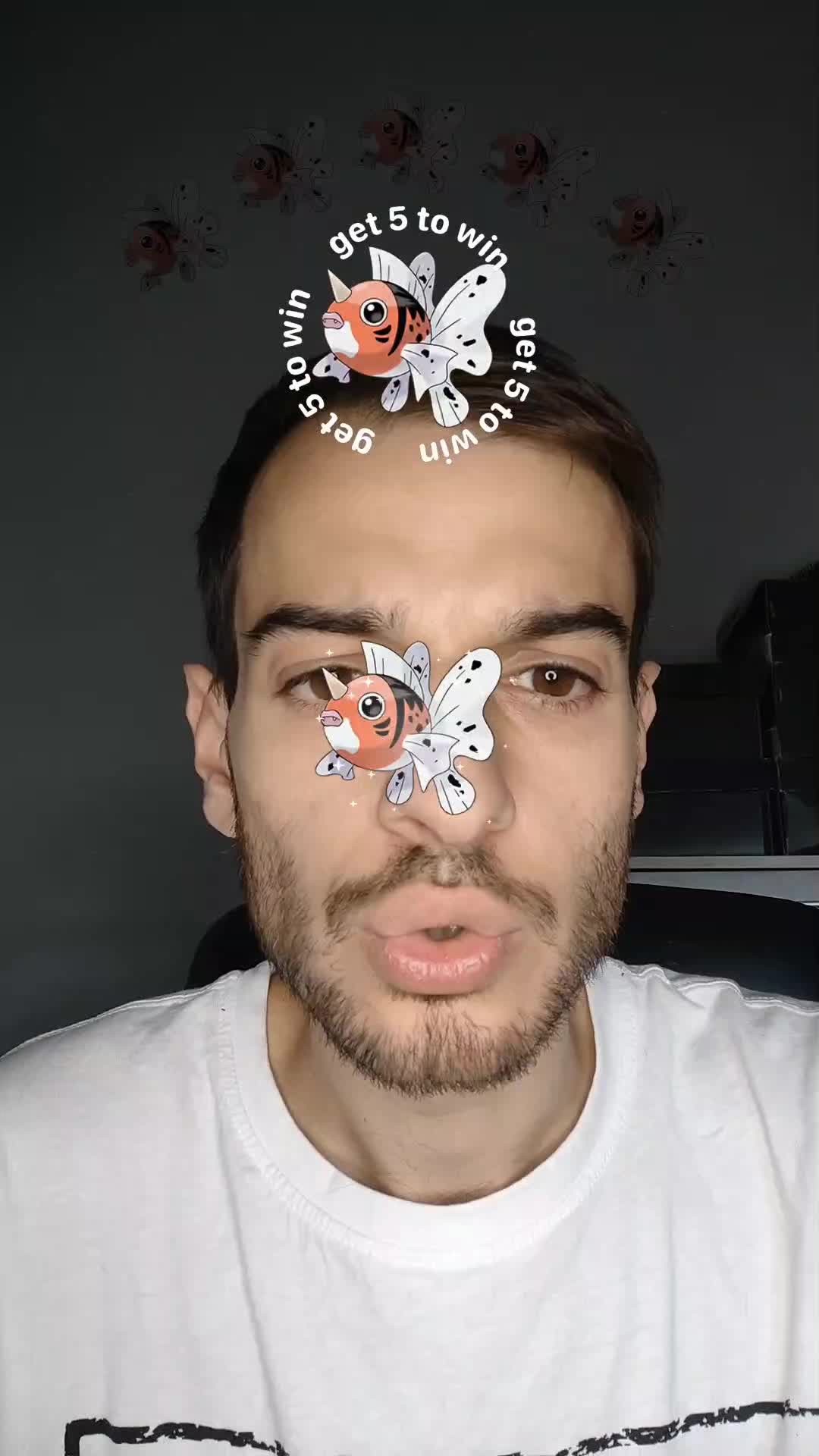 @fox 🦊