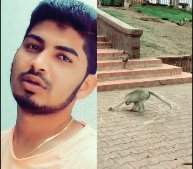 @Gokul