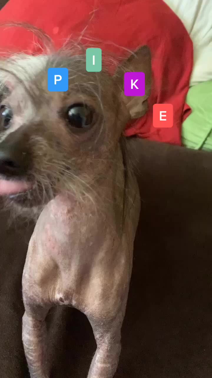 @Spike