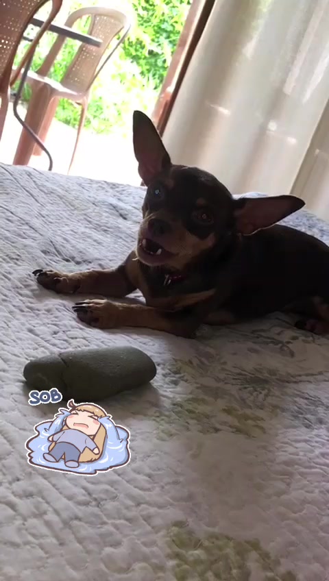 @Veennuus