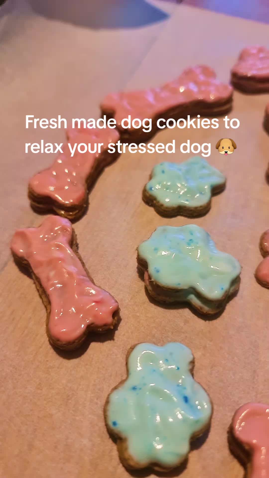 @Wellness for Pet