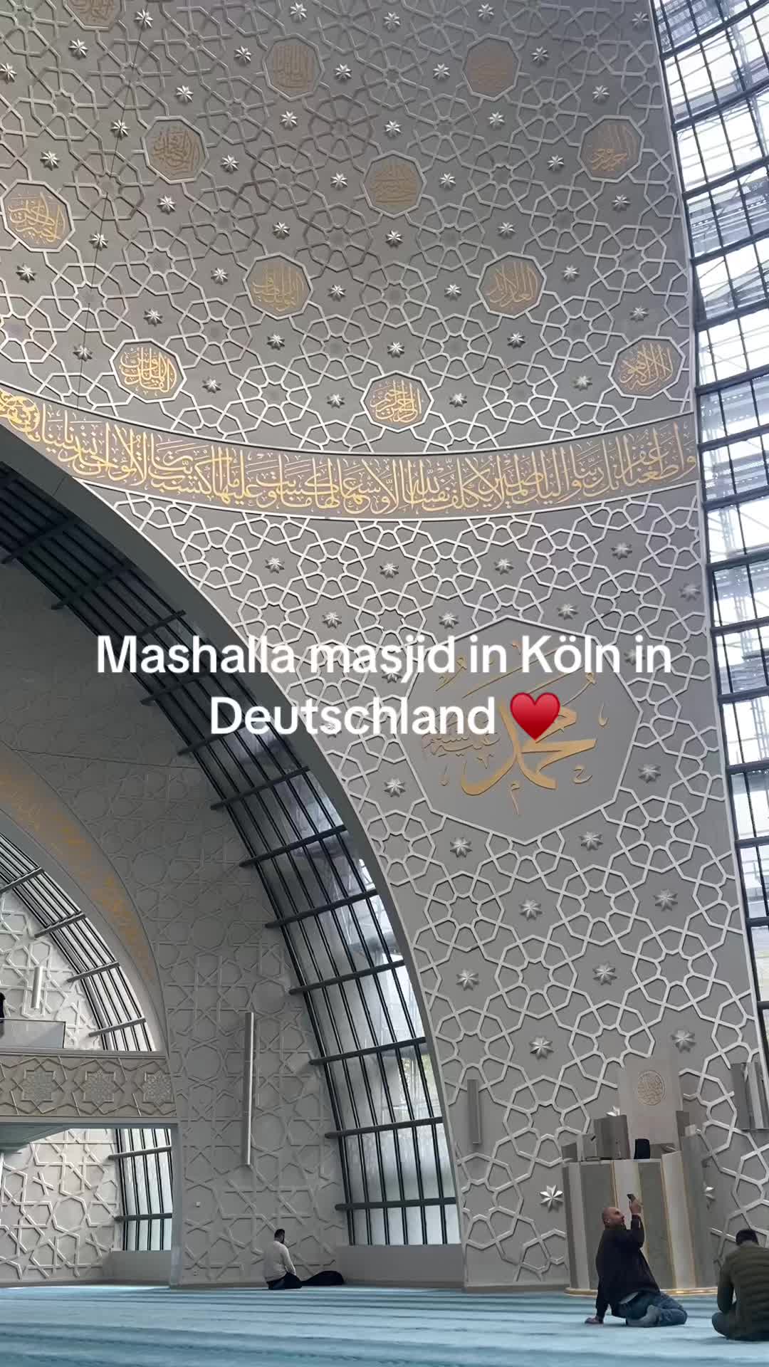 @Saimking5121472 🇩🇪🇵🇰