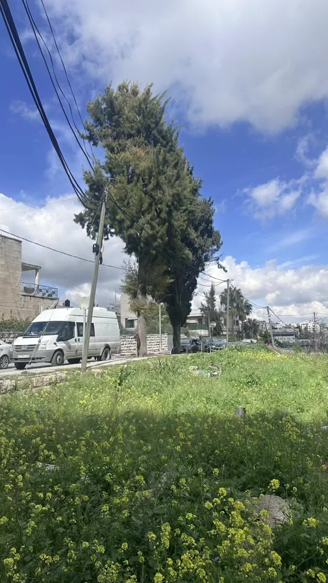 @Tala Zaghal