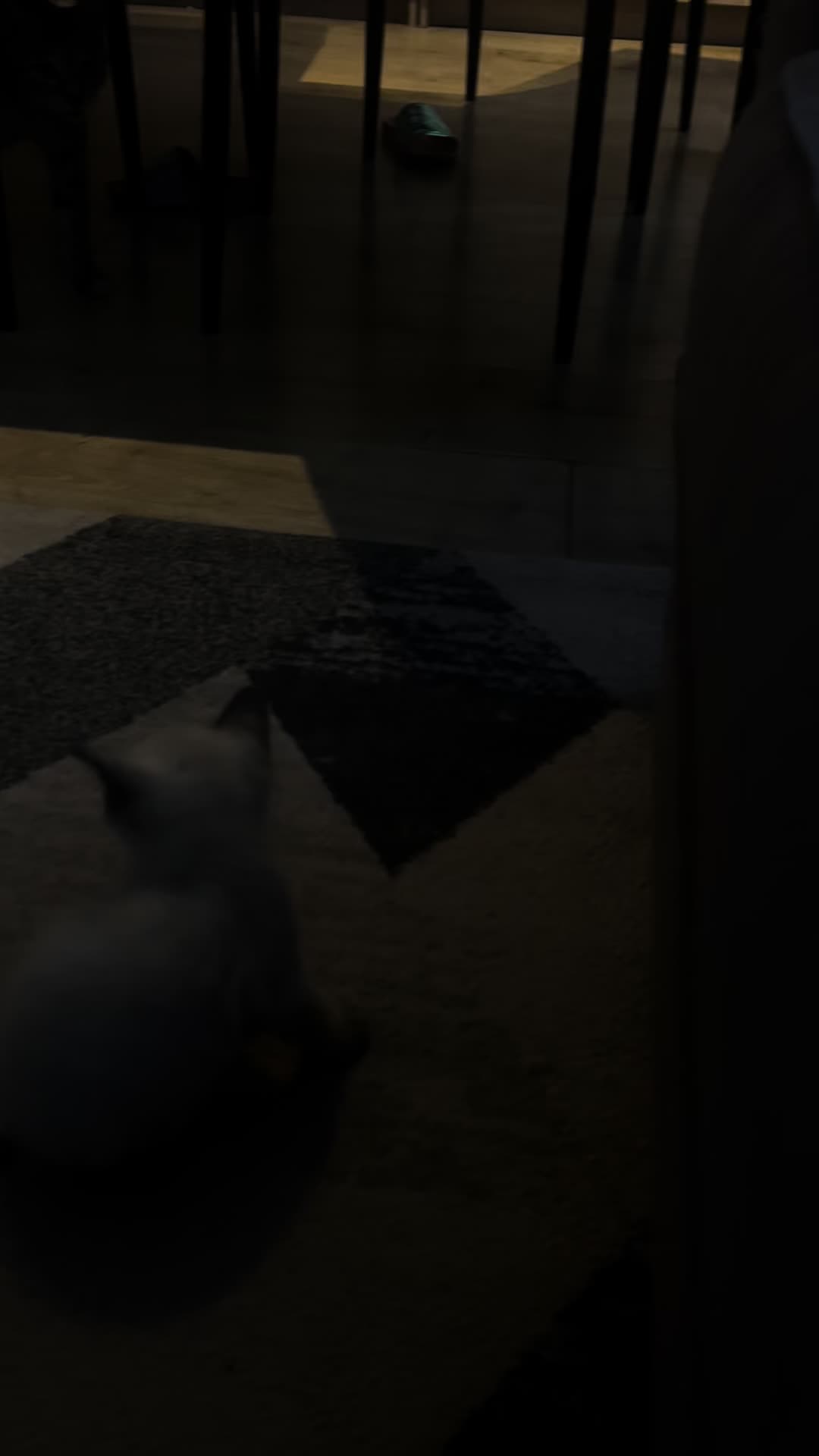 @Pépite & Simba