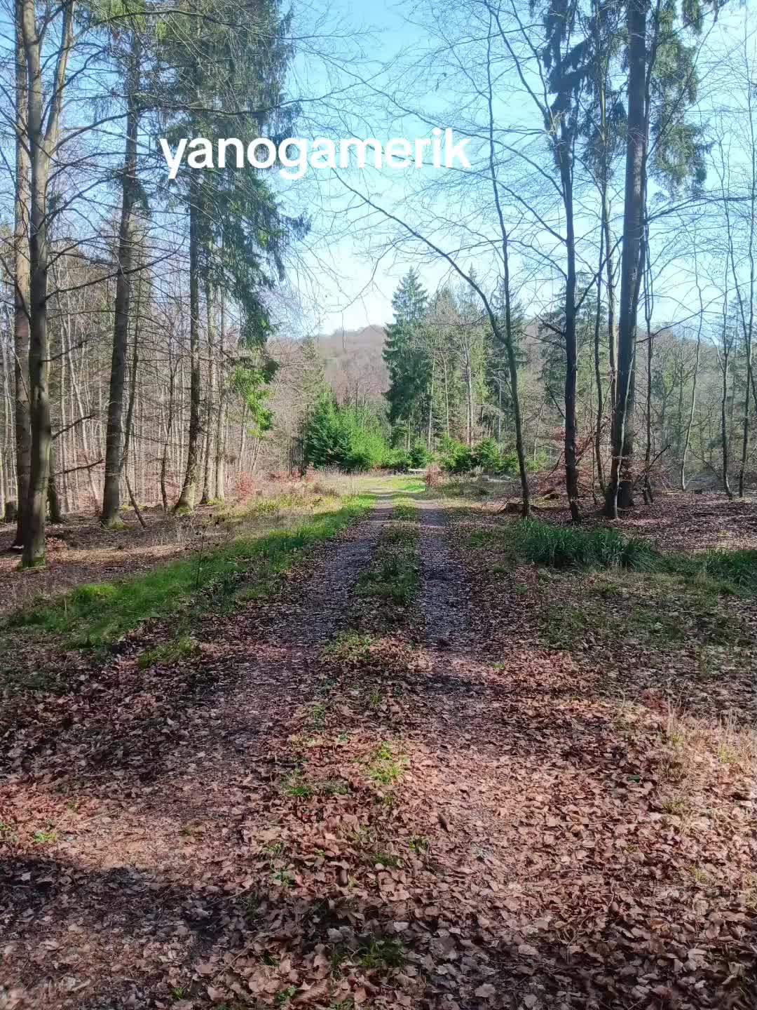 @Yanogamerik