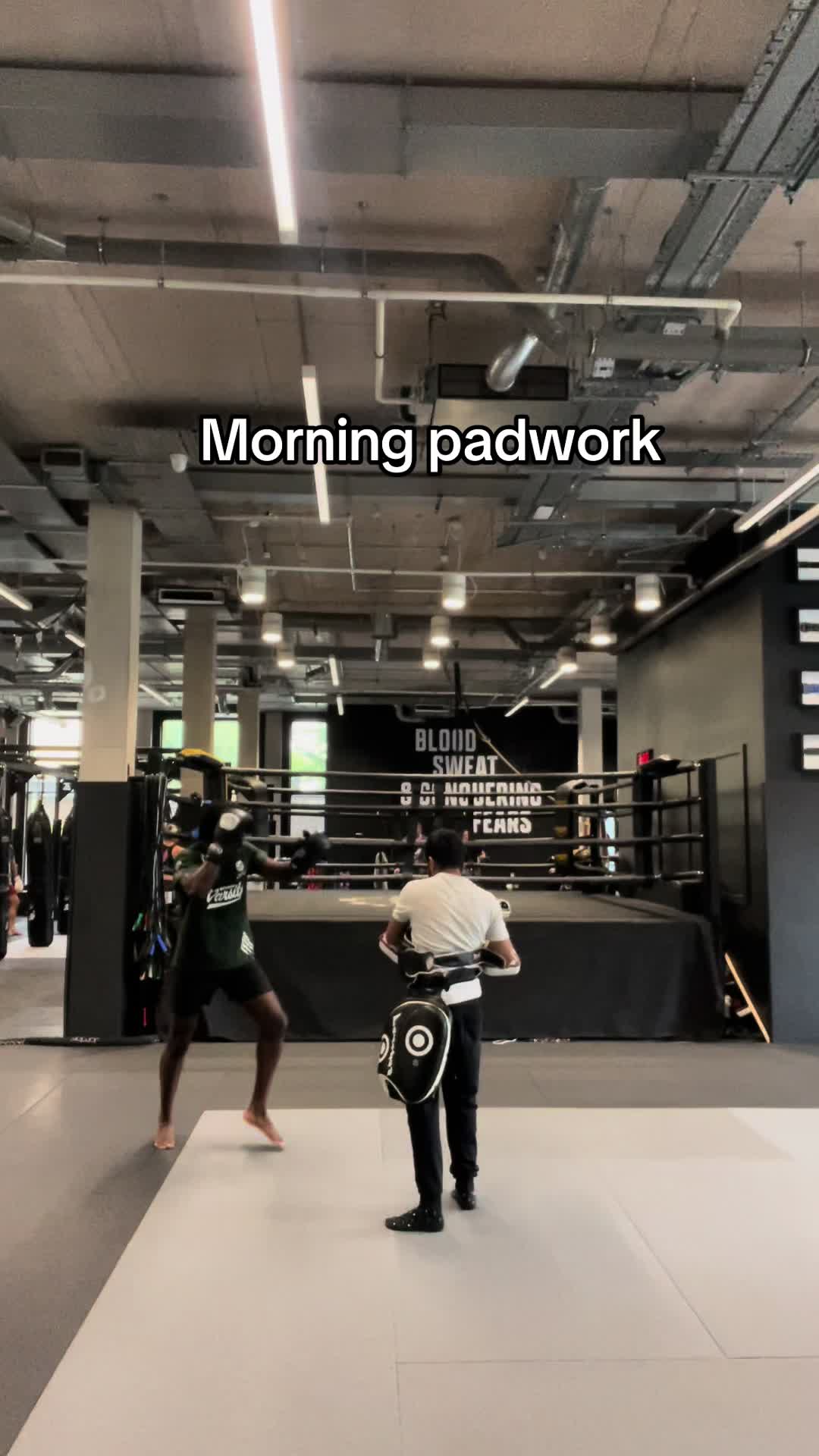 @Bfights
