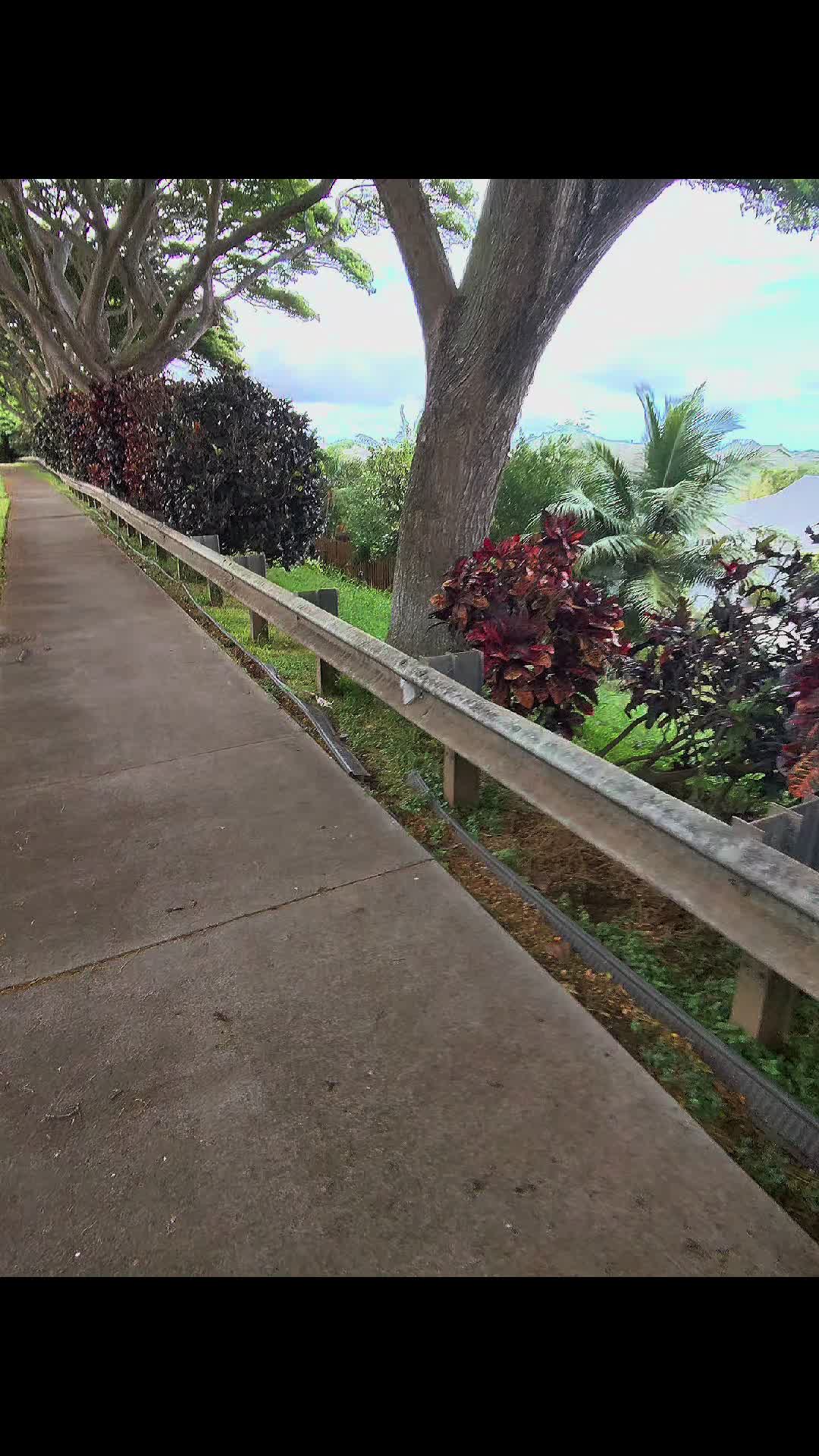 @ESENCIA PURA