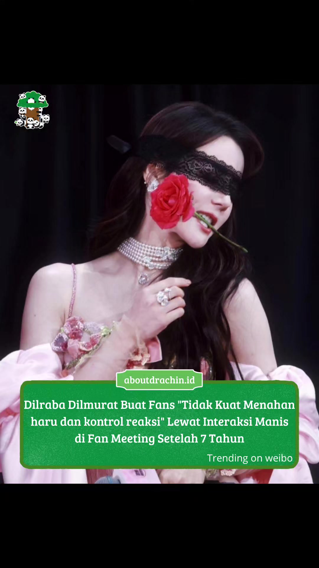 @About Drachin || Jastip