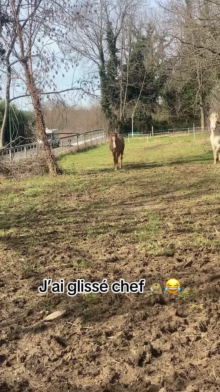 @🔱Cocotte_D’Arès🔱