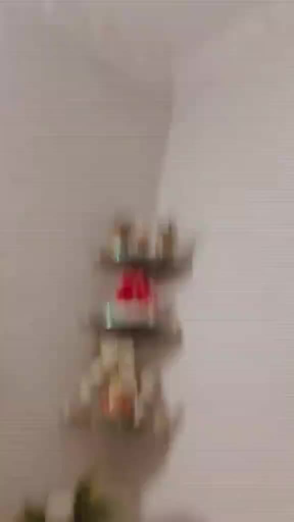 @No | Name