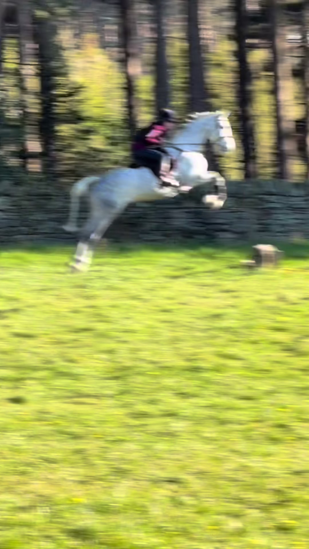 @Attempting to ride❤️