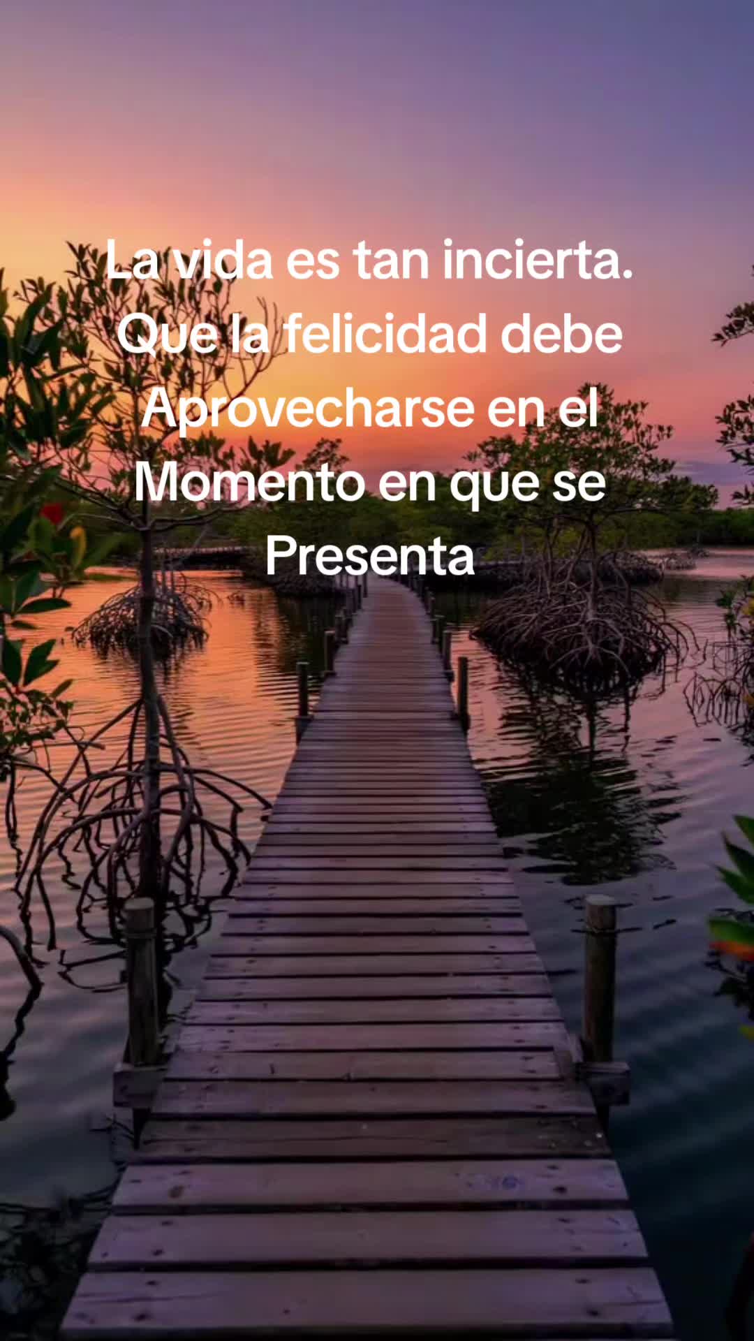 @luz23🇻🇪 🇪🇸
