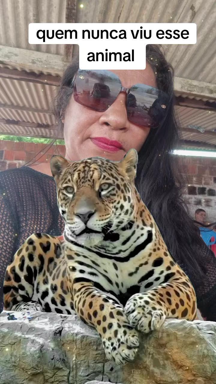 @⚡Sandra Santos OFICIAL ☑️
