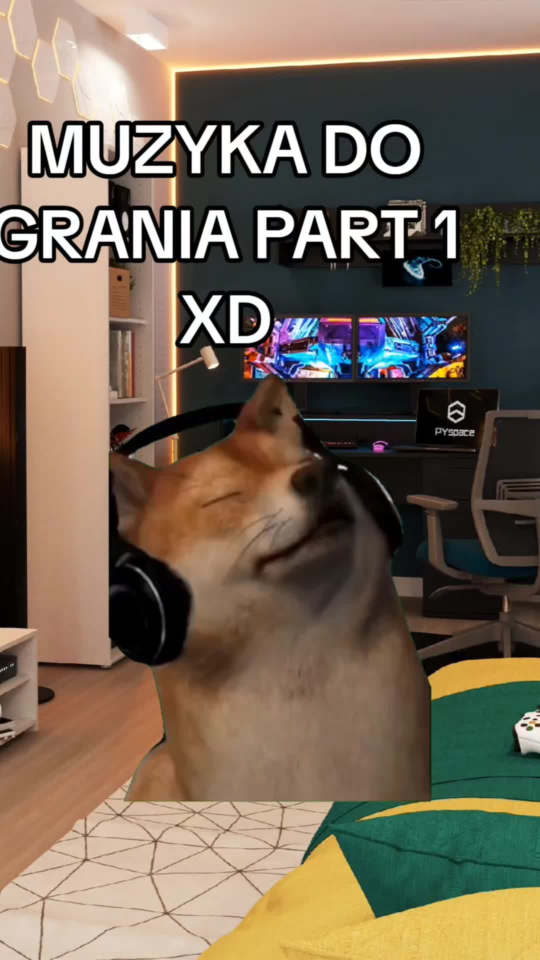@KotWkapciachh