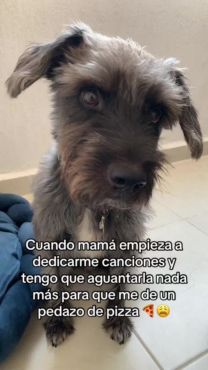 @KaryWithChef