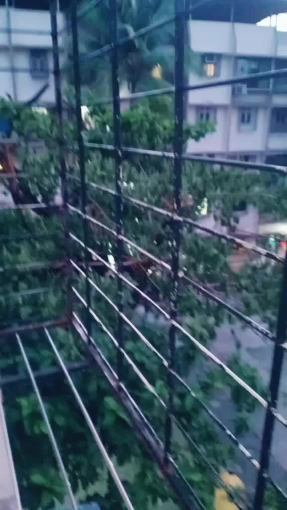 @Er Ruchi Mehta Gor