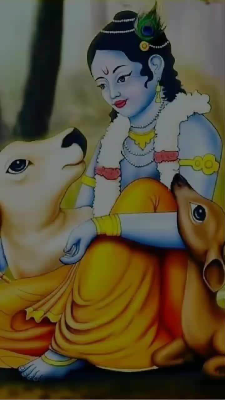 @Sagar Shiyal
