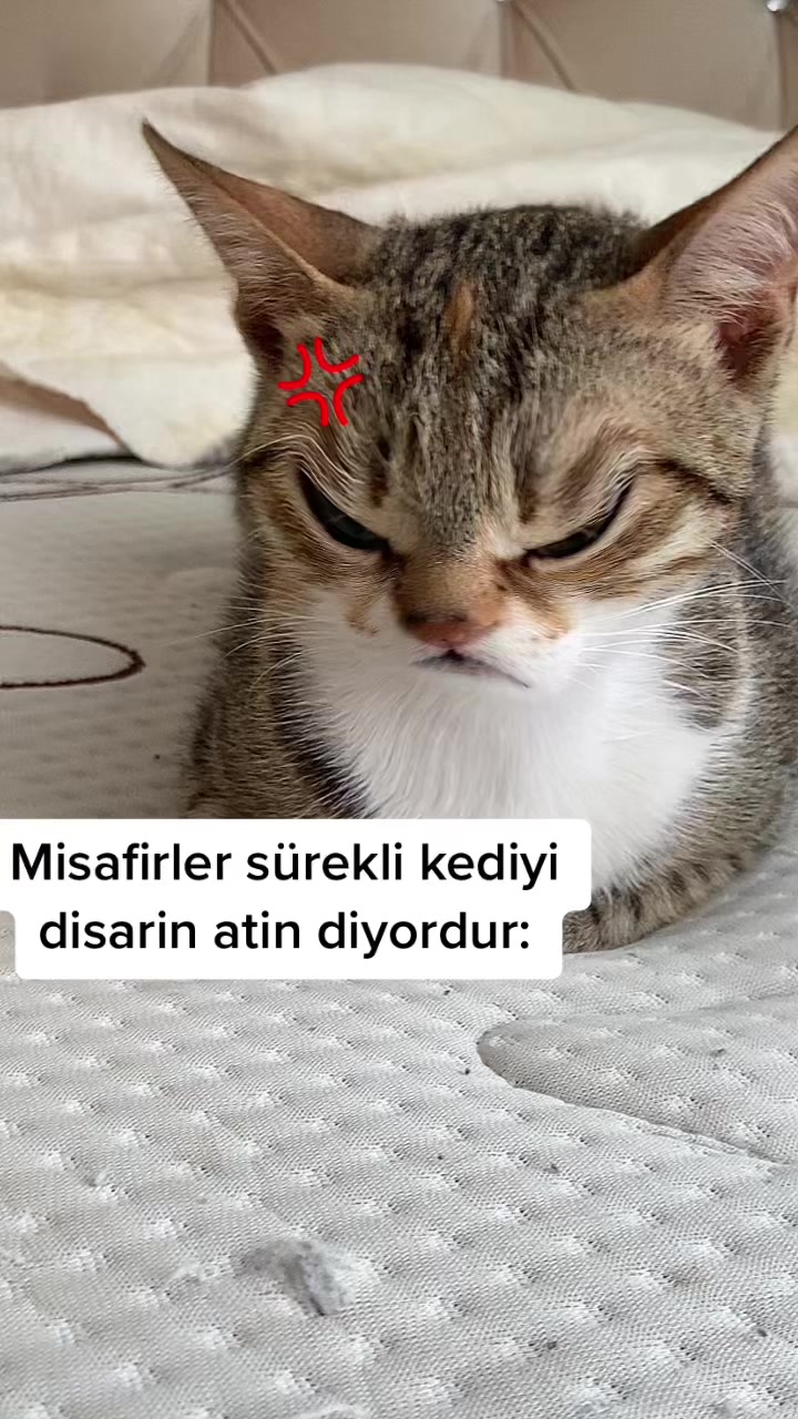 @Enes